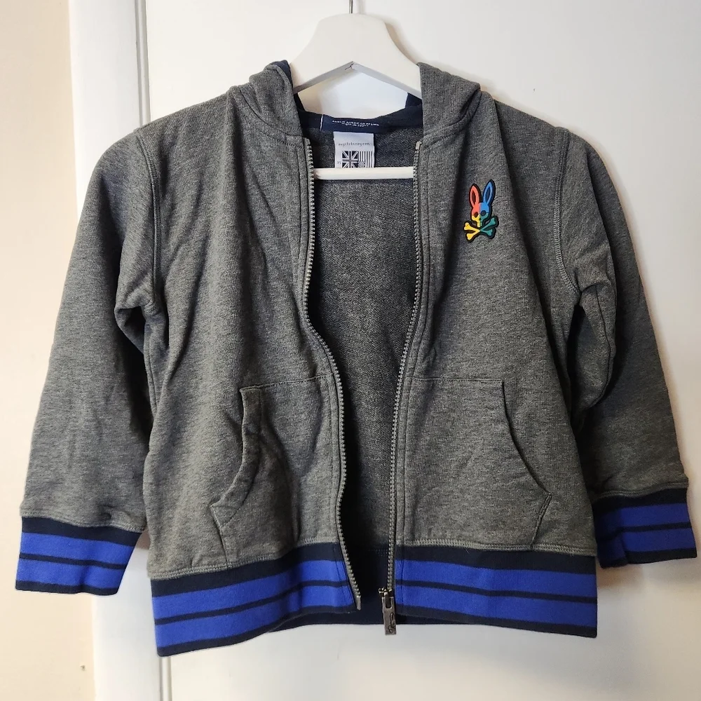 PSYCHO BUNNY Kid's Warwick Color Block Logo Hoodie In Heather Storm Size XS 5-6
